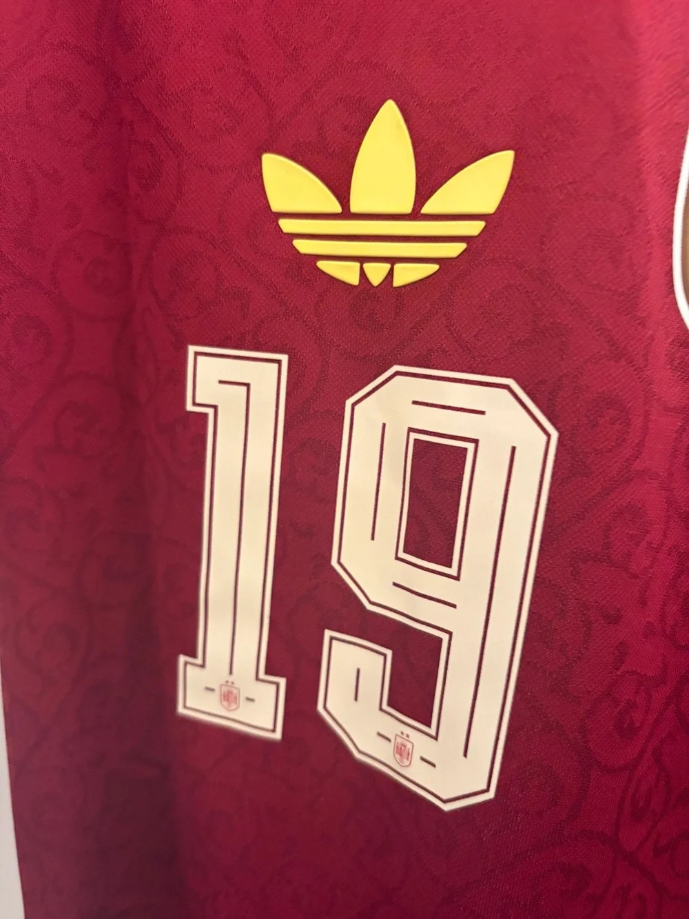 WC Champions Spain 2027 Unreleased Jersey